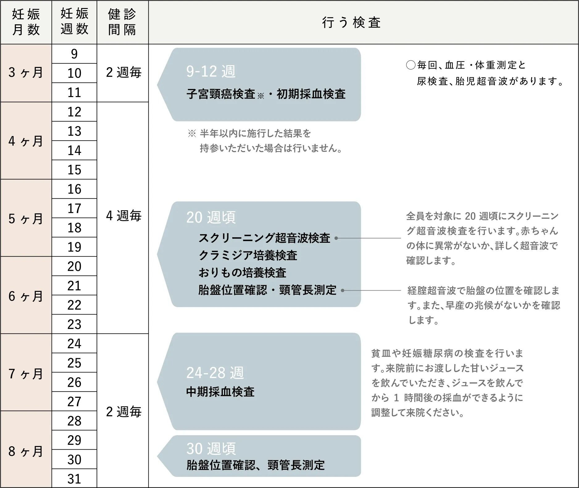 妊婦健診のスケジュール表(妊娠月数・週数別の検査内容一覧)
